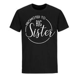 Promoted to Big Sister T-shirt